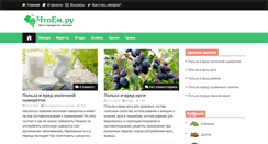 Desktop Screenshot of chtoem.ru